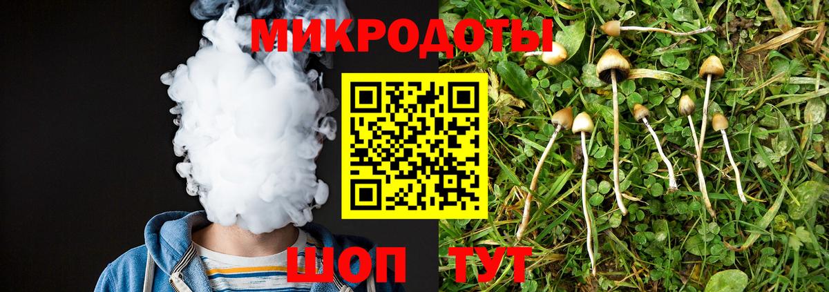 Псилоцибиновые грибы Psilocybe Котельники